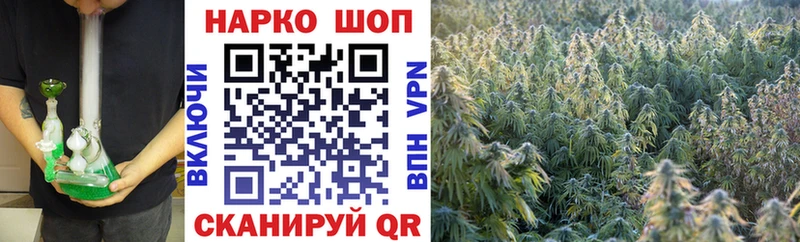 Как найти наркотики Орехово-Зуево АМФ  Меф мяу мяу  Alpha-PVP  МАРИХУАНА  гидра ТОР  Кокаин  ГАШИШ 
