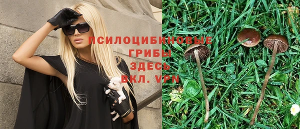 бутират Верхний Тагил