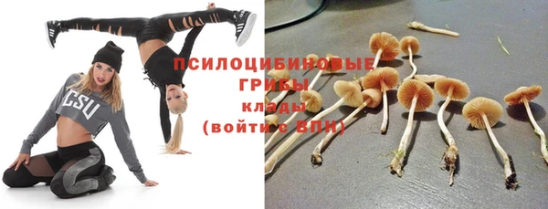 соль курить ск Иноземцево
