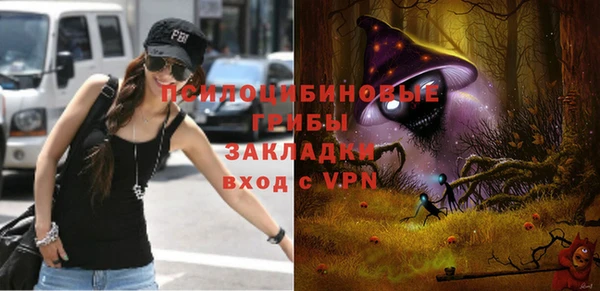 PSILOCYBIN Верхнеуральск