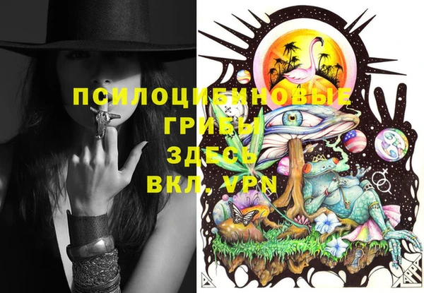 PSILOCYBIN Верхнеуральск
